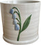 16cm Bluebell Pot