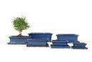 Rect Blue Bonsai Saucer