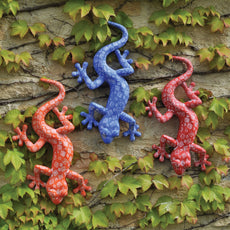 Lizard Wall Art - Mix Col Pk9