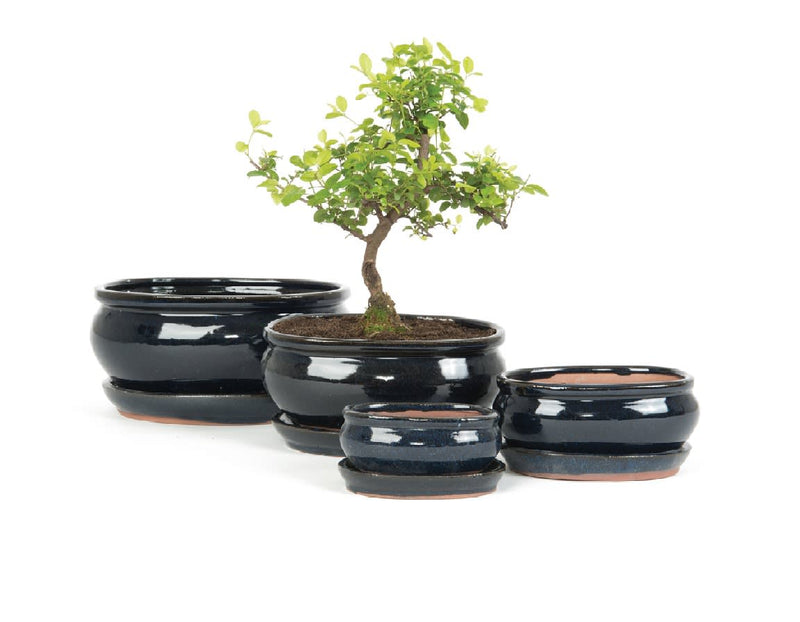 Oval Blue Bonsai Saucers