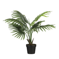 Fan Palm In Pot Green