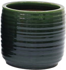 Green Ribero Pots