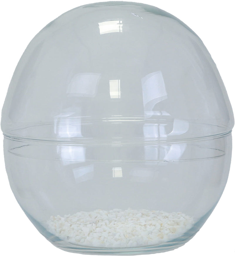 35cm Globe Terrarium Large