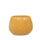 Zara Pot Yellow 14cm